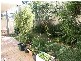 Brighton Avenue, Toronto NSW 2283