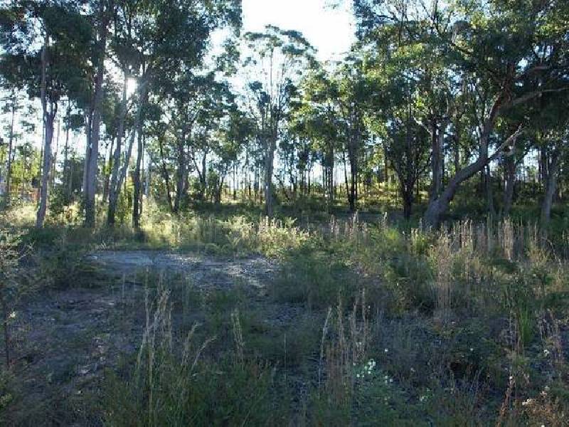 351 Pheasant Street, Toronto NSW 2283