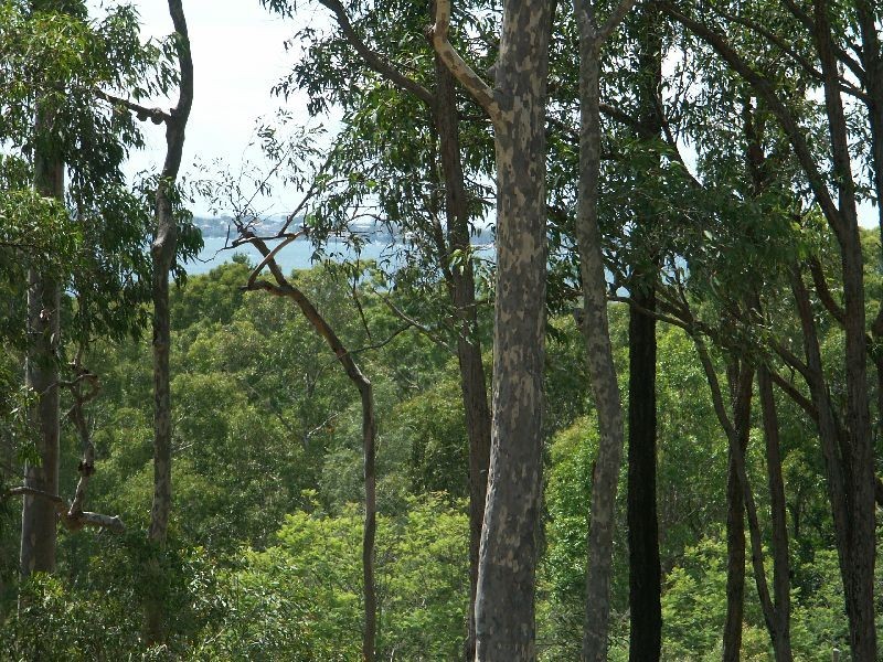 Lot 208, 41 Lakeview Road, Kilaben Bay NSW 2283