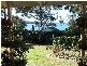 Skye Point Rd, Coal Point NSW 2283