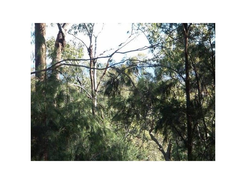 32 Tuloa Street, Wangi Wangi NSW 2267