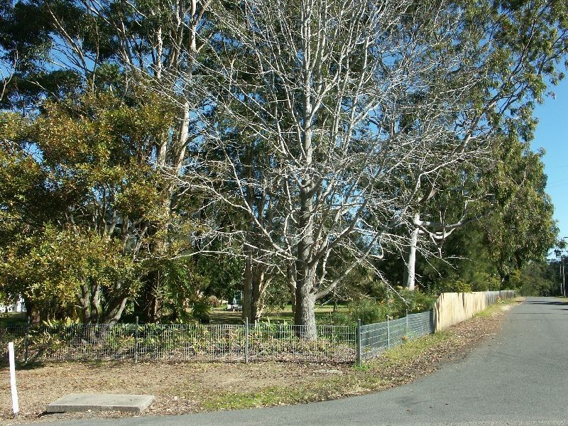 103 Lake Street, Blackalls Park NSW 2283