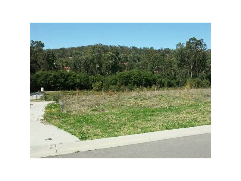 50 Pheasant Street, Toronto NSW 2283