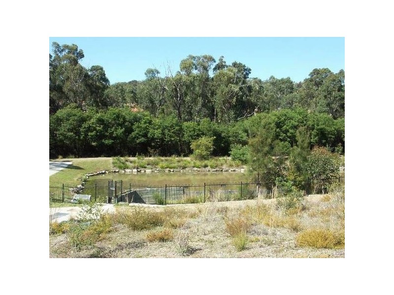 50 Pheasant Street, Toronto NSW 2283