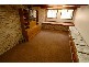 166 Brighton Avenue, Toronto NSW 2283