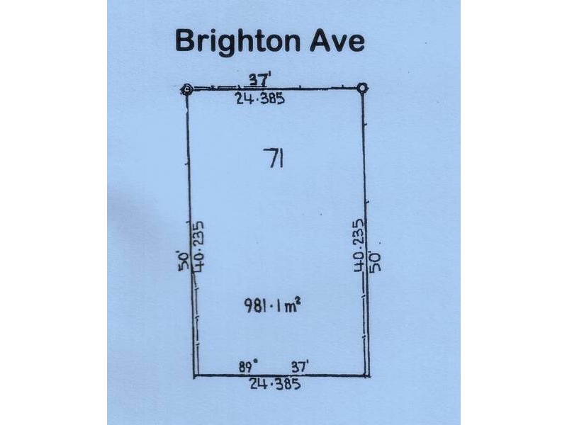 166 Brighton Avenue, Toronto NSW 2283