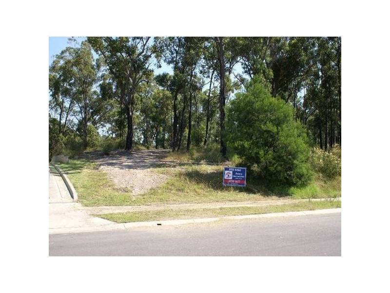 19 Cockatiel Street, Toronto NSW 2283