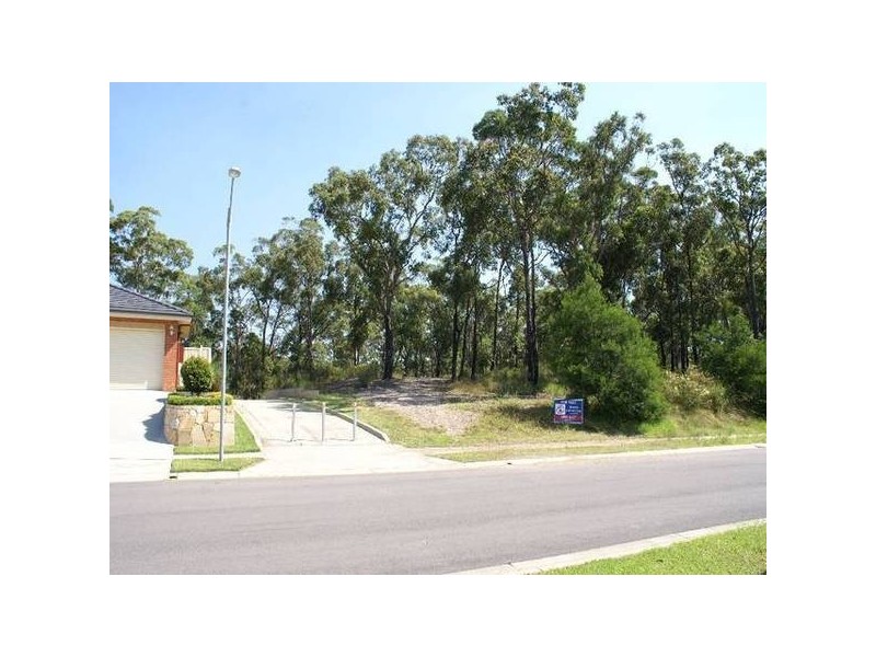 19 Cockatiel Street, Toronto NSW 2283