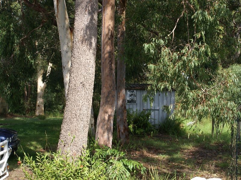 42 Southampton Avenue, Buttaba NSW 2283