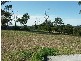35 Hawk Street, Toronto NSW 2283