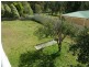 29 Todd Street, Blackalls Park NSW 2283