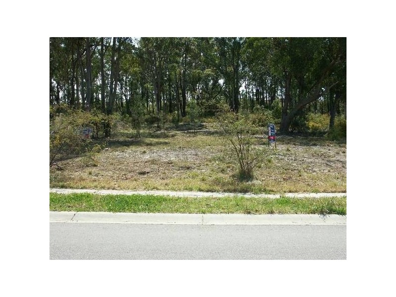 351 Pheasant Street, Toronto NSW 2283