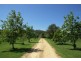2 East Turanville Road, Scone NSW 2337