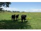 2 East Turanville Road, Scone NSW 2337