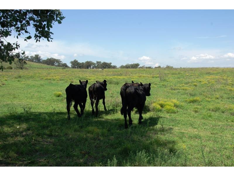 2 East Turanville Road, Scone NSW 2337