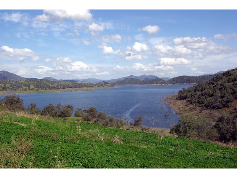 1432 Gundy Road, Scone NSW 2337