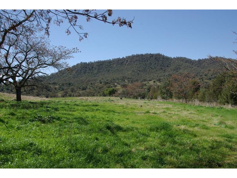 1432 Gundy Road, Scone NSW 2337
