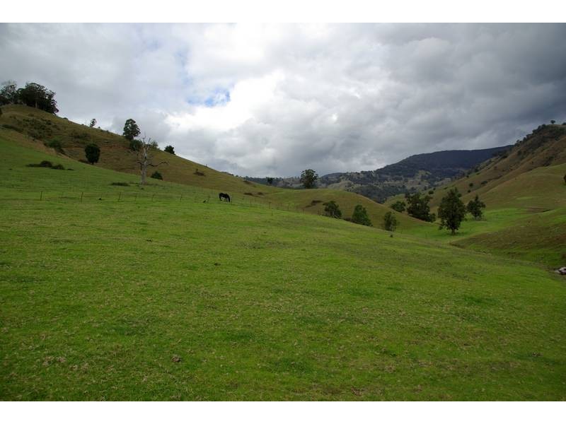 . Stewarts Brook Road, Scone NSW 2337