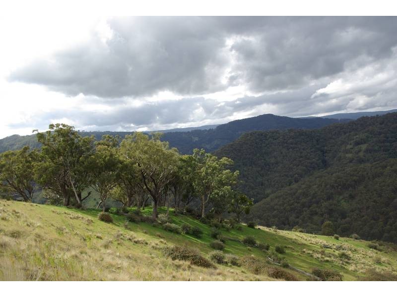 . Stewarts Brook Road, Scone NSW 2337