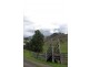 . Stewarts Brook Road, Scone NSW 2337