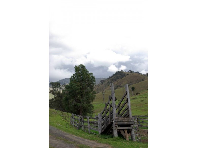 . Stewarts Brook Road, Scone NSW 2337