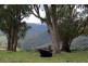 . Stewarts Brook Road, Scone NSW 2337