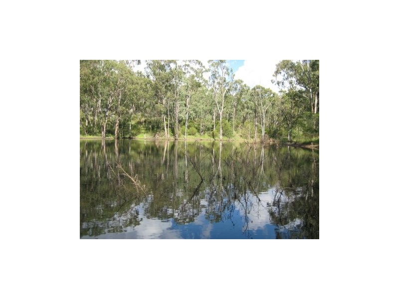 . Dry Creek Road, Scone NSW 2337