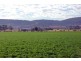. New England Highway, Scone NSW 2337
