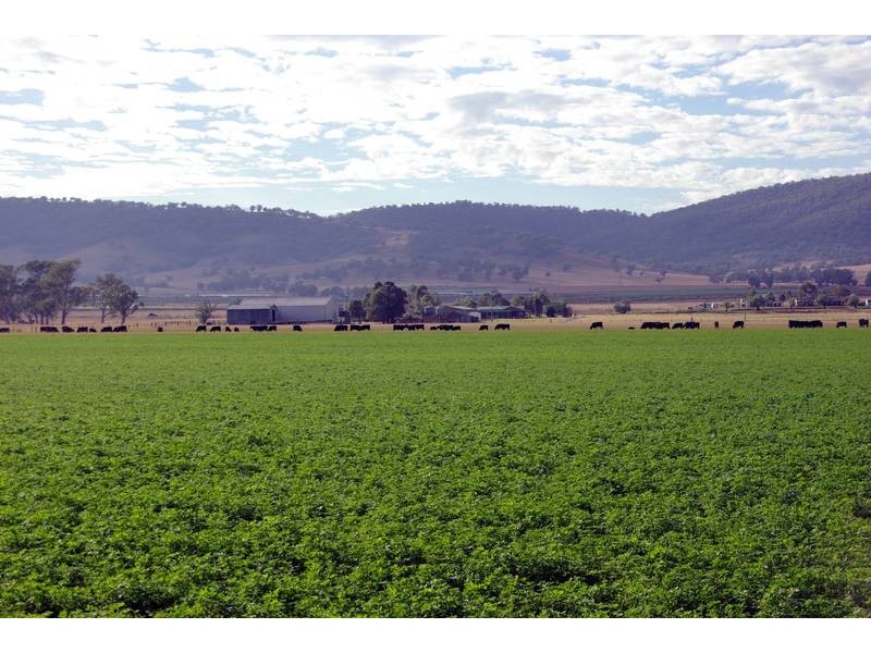. New England Highway, Scone NSW 2337