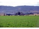 . New England Highway, Scone NSW 2337