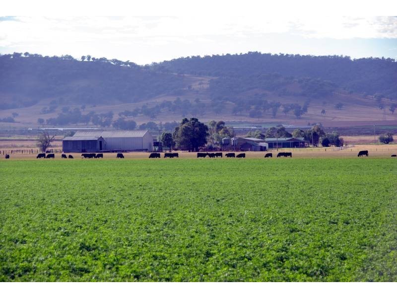 . New England Highway, Scone NSW 2337