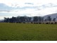 . New England Highway, Scone NSW 2337