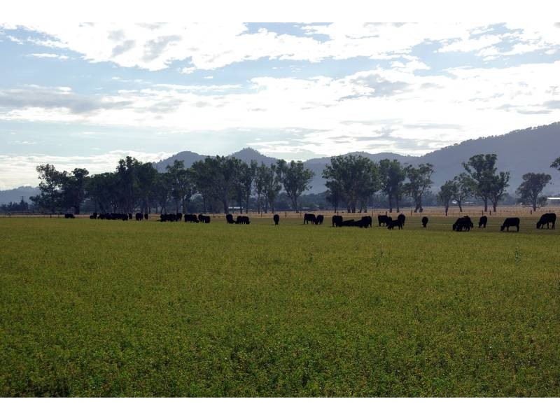 . New England Highway, Scone NSW 2337