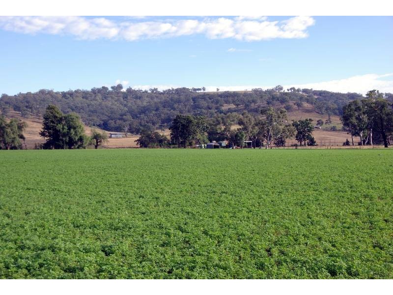 . New England Highway, Scone NSW 2337