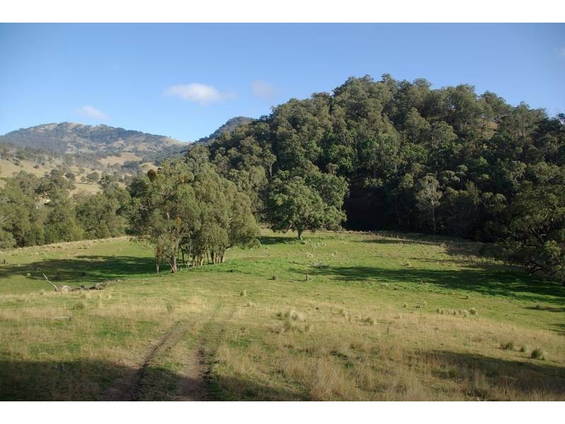 . Warlands Creek Road, Blandford NSW 2338
