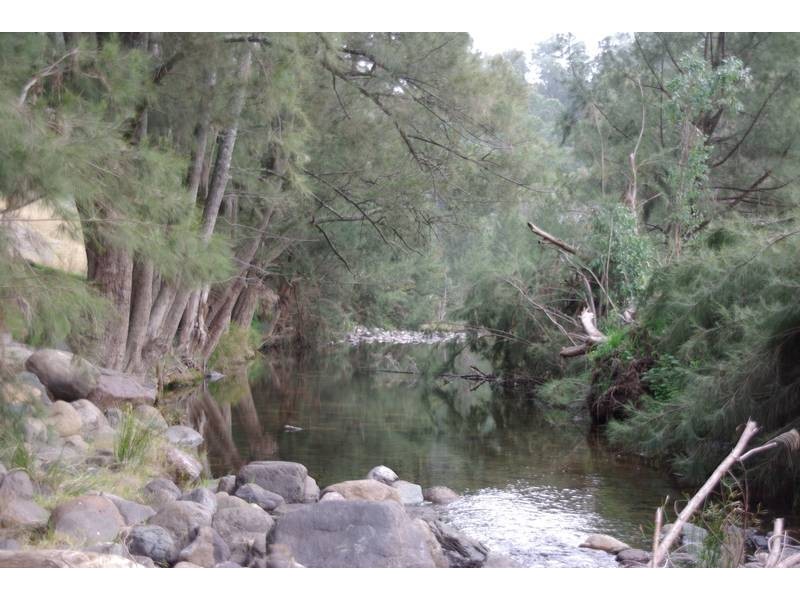 . Warlands Creek Road, Blandford NSW 2338