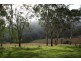 . Warlands Creek Road, Blandford NSW 2338