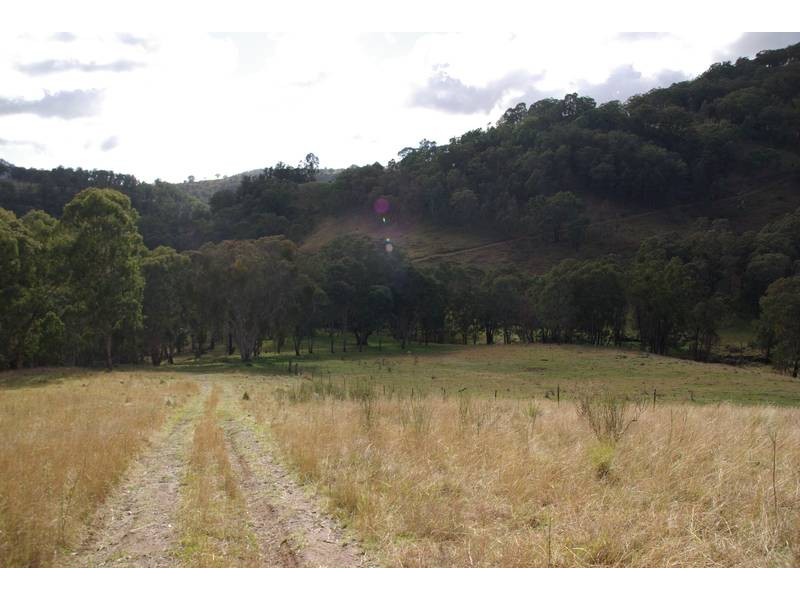 . Warlands Creek Road, Blandford NSW 2338