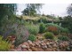 8 Wilson Street, Gundy NSW 2337