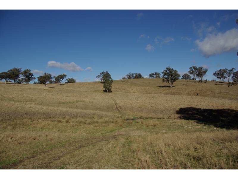 . Timor Road, Blandford NSW 2338