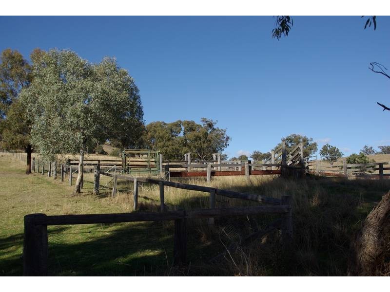 . Timor Road, Blandford NSW 2338