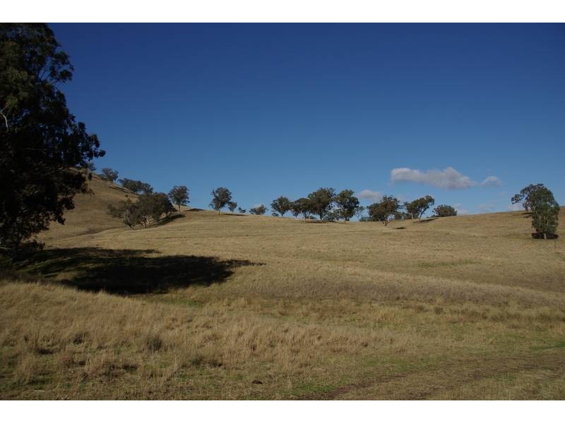 . Timor Road, Blandford NSW 2338