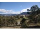 232 Glen Alvon, Murrurundi NSW 2338