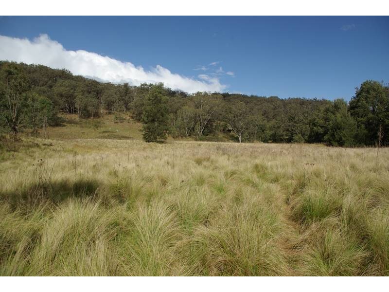 Lot 11 Middlebrook Road, Scone NSW 2337