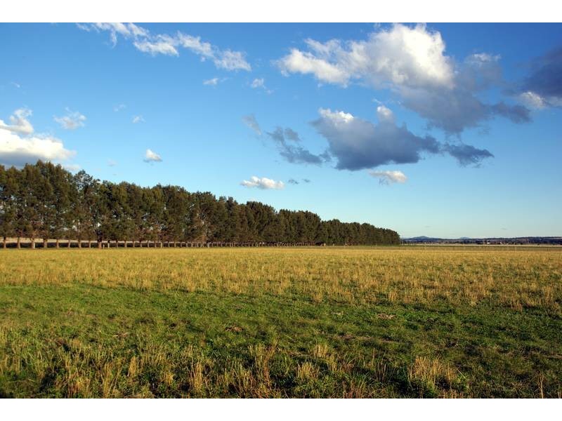 . Turanville Road, Scone NSW 2337