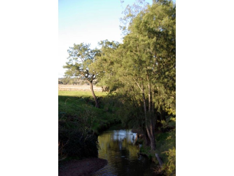 . Turanville Road, Scone NSW 2337