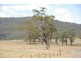 Alabama St, Scone NSW 2337
