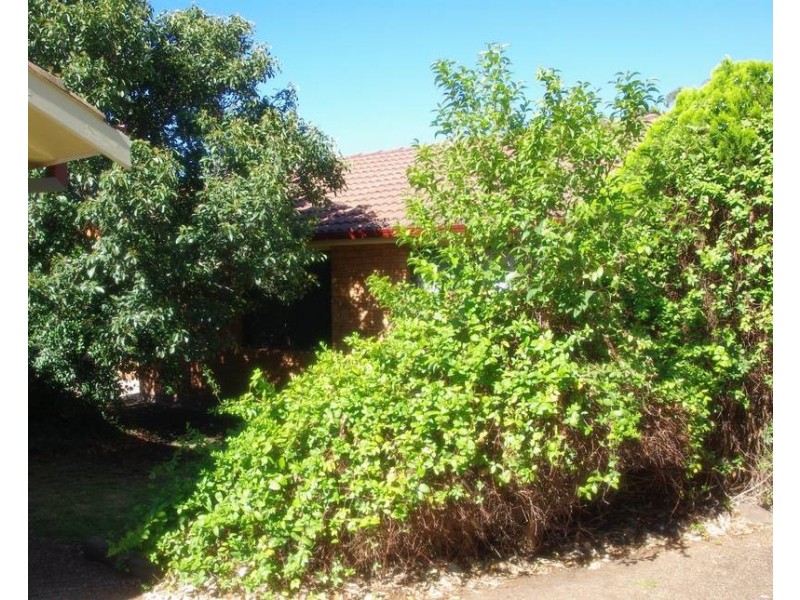 2/50 Hill Street, Scone NSW 2337