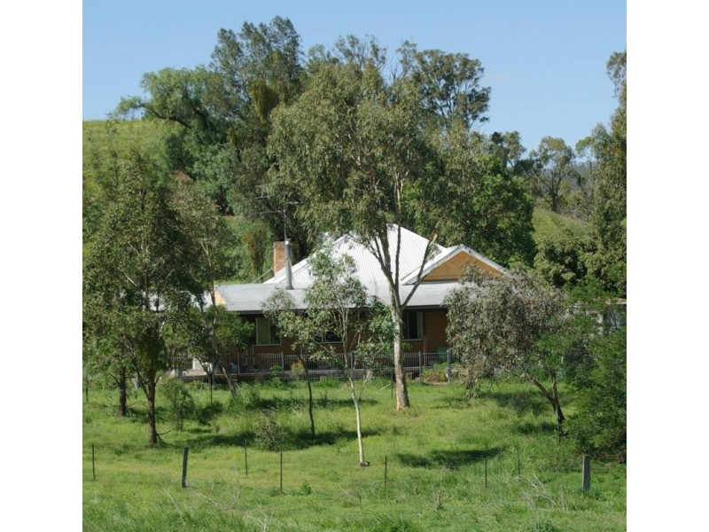 Alma Street, Gundy NSW 2337