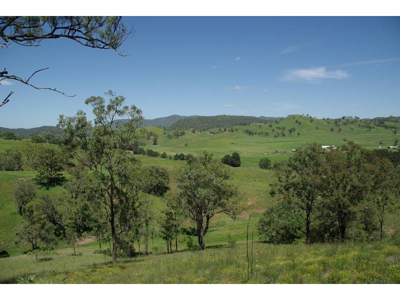 Alma Street, Gundy NSW 2337